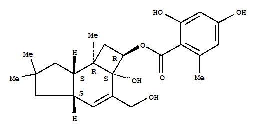CAS 117258-74-9 molecular structure