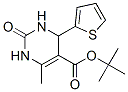 CAS 500268-74-6 molecular structure